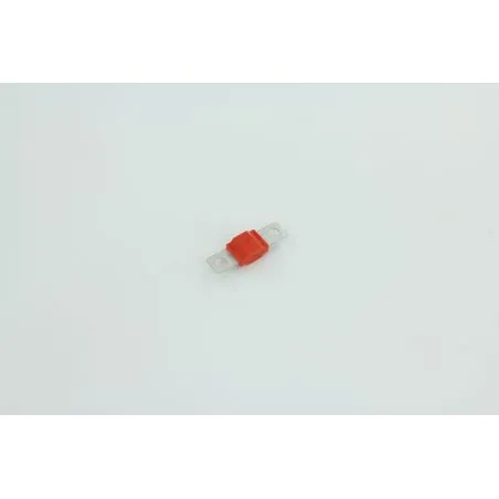 FUSIBLE POUR AUTOLAVEUSE EUREKA