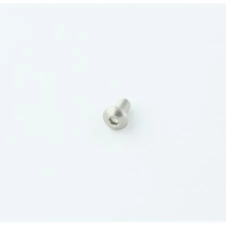 VIS À TÊTE CYLINDRIQUE EN ACIER INOXYDABLE DE 5 X 10 MM DE LONG