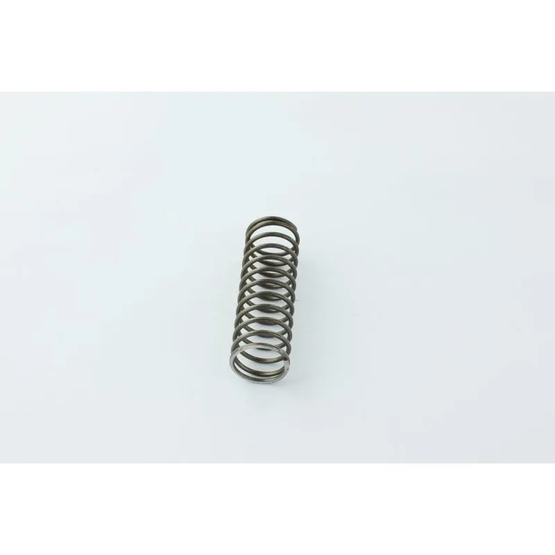 RESSORT DE COMPRESSION, 0.62ID .06W 2.25 POUR AUTOLAVEUSE TENNANT