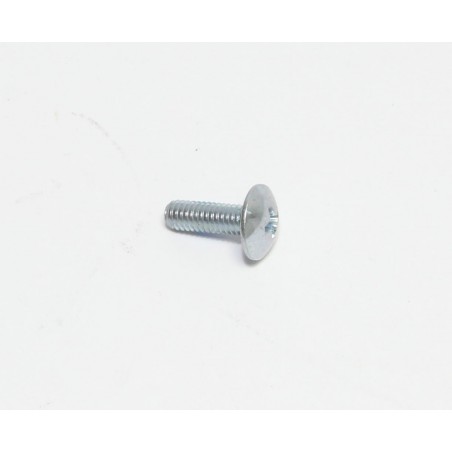 VIS, TRS, M4 X 0.70 X 12, PHL, PL POUR AUTOLAVEUSE TENNANT
