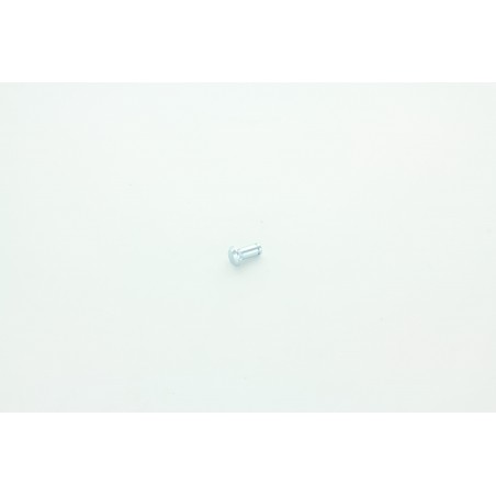 AXE DE FIXATION D EMBOUCHURE NILFISK